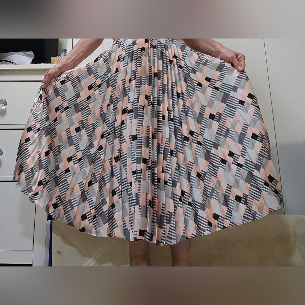 Club Monaco pleated skirt